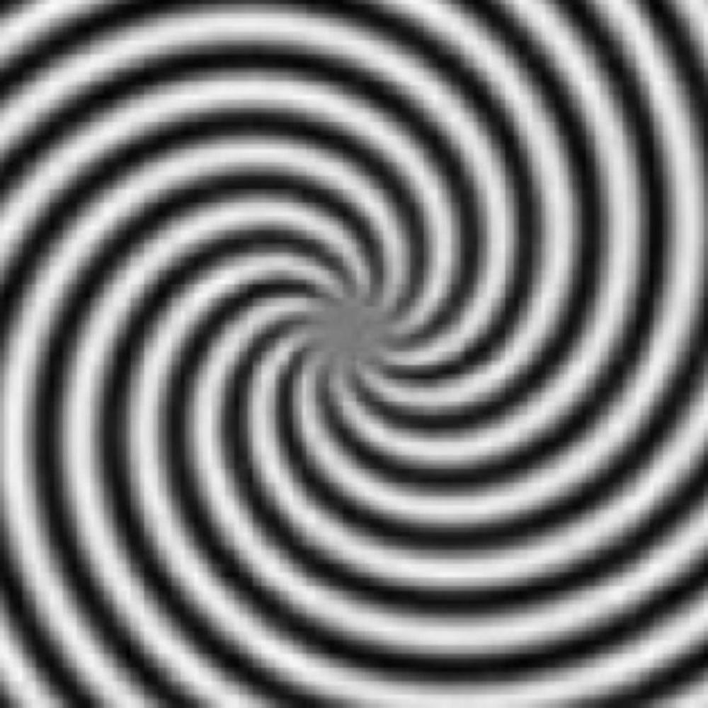 Meet your Posher, Raven